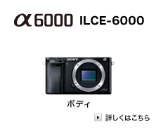 camera_img04a.png